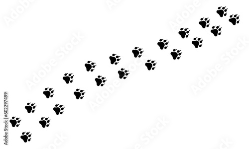 Set of animal paw vector icon. Footprint tiger with claws. Animal path black silhouette. Vector 10 EPS.