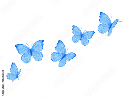 Canvas Print blue butterfly