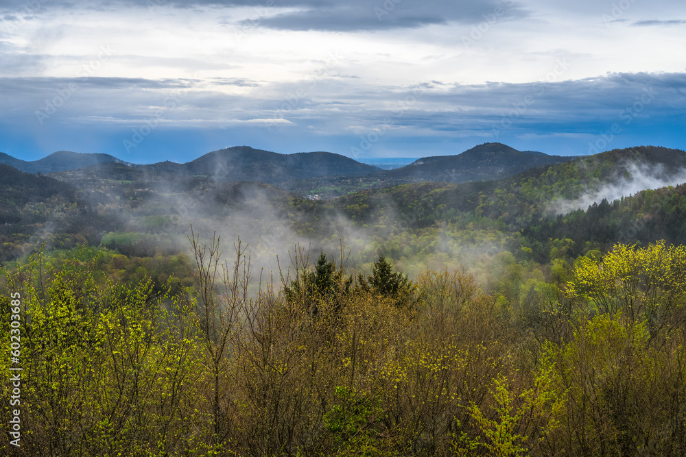 Panoramic view on the Palatinate Forest from Lindelbrunn near Vorderweidenthal in Germany. Panoramic view on the Palatinate Forest from Lindelbrunn near Vorderweidenthal in Germany.
