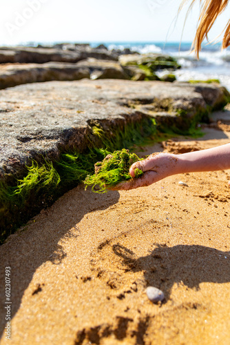 Small girl picking green water algs from rocks near sea during spring sunny day on sandy beach at Paphos, Cyprus photo