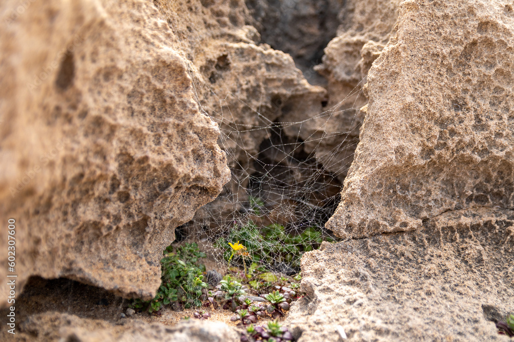 View of rocks on beautiful coast of during spring sunny day in Paphos, Cyprus.