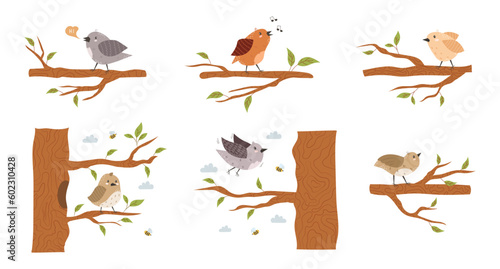 Collection of various small birds sitting on tree branches. Flying and singing spring sparrows. Flat stock vector illustration on an isolated white background. Various funny wild feathered animals.