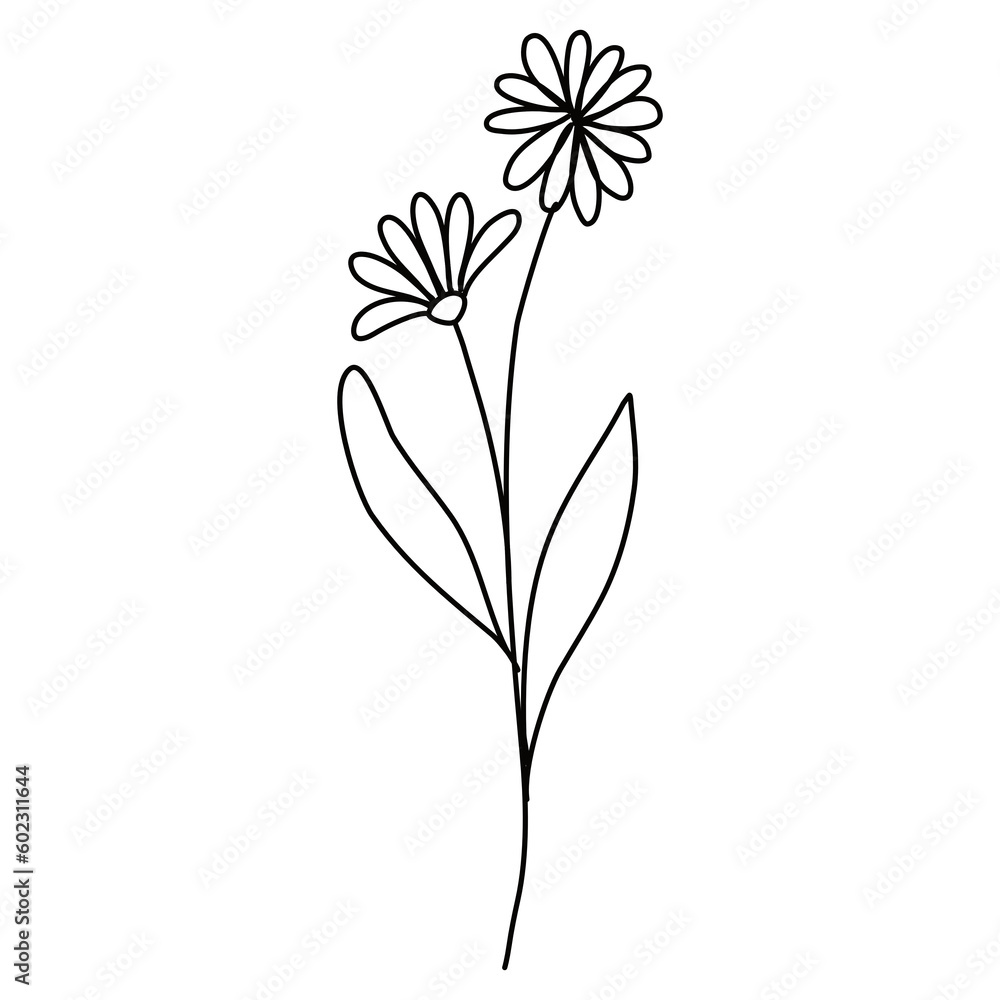 Line art floral 