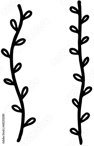 set  liana black line