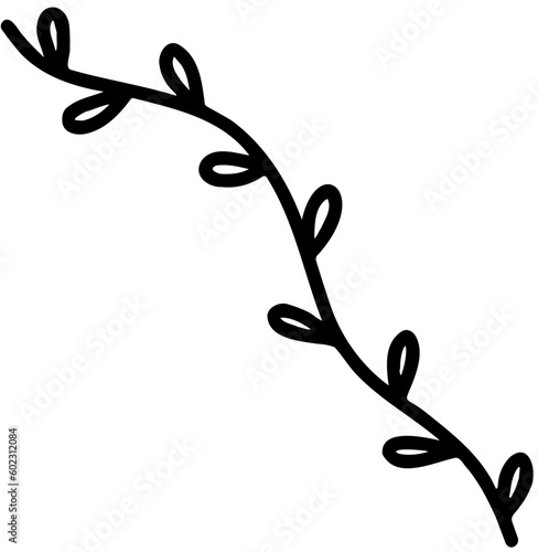  liana black line