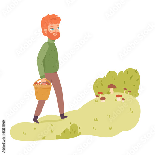 Man collecting mushrooms in autumn or summer forest, person picking harvest in basket