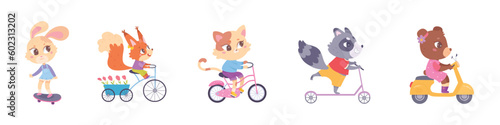 Cute baby animals drive set, little bunny cat bear raccoon squirrel riding transport