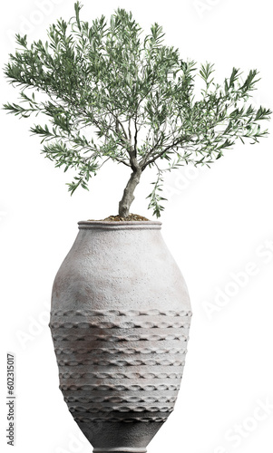 Side view of potted olive tree