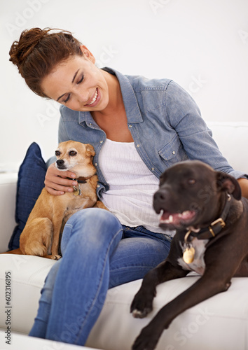 Woman, sofa and smile with pet dogs for care, love and bonding in home living room, playing and together. Girl, animal family and relax on lounge couch with happiness, lifestyle and cuddle in house