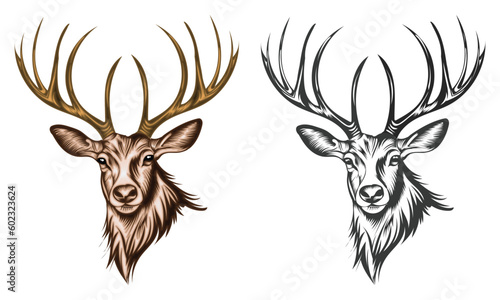 Deer head hunting vector illustration set, colorful and black © awladrn5