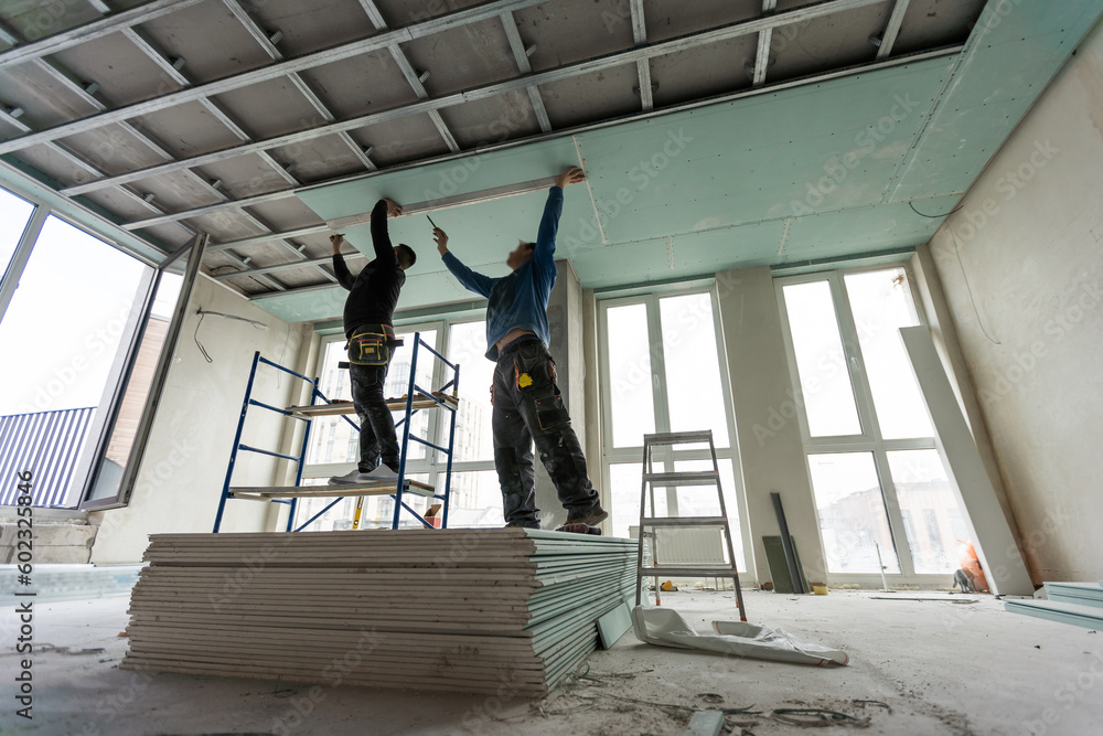 Construction worker assemble a suspended ceiling with drywall and fixing the drywall to the ceiling metal frame with screwdriver. Renovation, construction and do it yourself