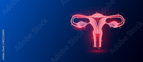 Female uterus red translucent low poly triangles on dark blue background with space for text. Organ anatomy. Women's gynecology and reproductive system. Medical and science concept. Banner vector.