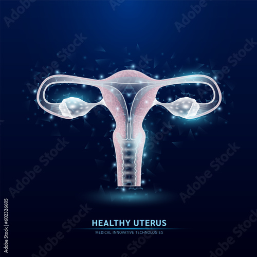 Female uterus white translucent low poly triangles on dark blue background. Futuristic glowing organ anatomy. Women's health care gynecology and reproductive system. Medical, science concept. Vector.