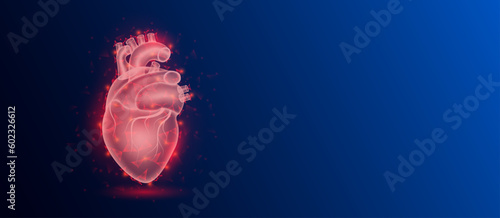 Human heart anatomy red translucent low poly triangles on dark blue background. Futuristic glowing organ hologram and copy space for text. Medical and science concept. Banner design vector.