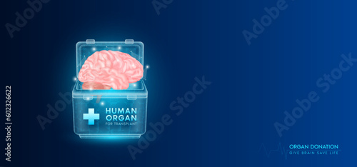 Donor organ. Human brain in cooler box translucent low poly triangles with copy space for text. Donation for organ transplantation. Medical innovation diagnosis treatment concept. Banner vector.