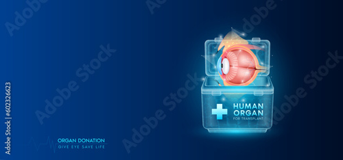 Donor organ. Human eye in cooler box translucent low poly triangles with copy space for text. Donation for organ transplantation. Medical innovation diagnosis treatment concept. Banner vector.