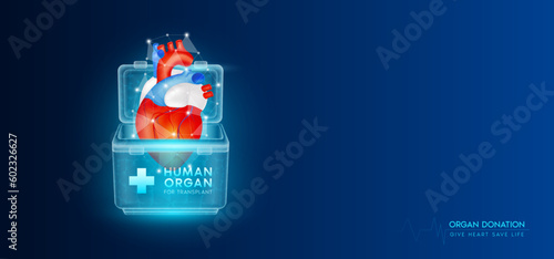 Donor organ. Human heart in cooler box translucent low poly triangles with copy space for text. Donation for organ transplantation. Medical innovation diagnosis treatment concept. Banner vector.
