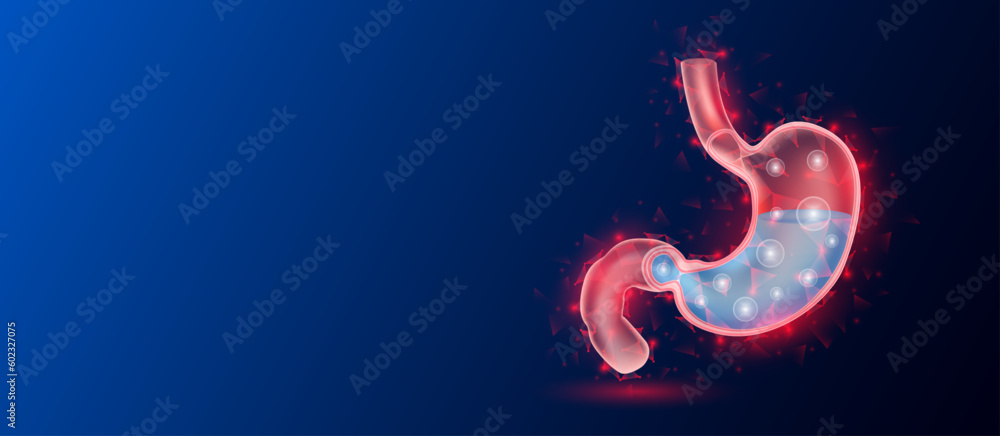 Human stomach anatomy red translucent low poly triangles on dark blue background. Futuristic glowing organ hologram and copy space for text. Medical and science concept. Banner design vector. Human stomach anatomy red translucent low poly triangles on dark blue background. Futuristic glowing organ hologram and copy space for text. Medical and science concept. Banner design vector.