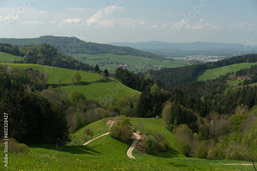 Horben in Freiburg im Sommer