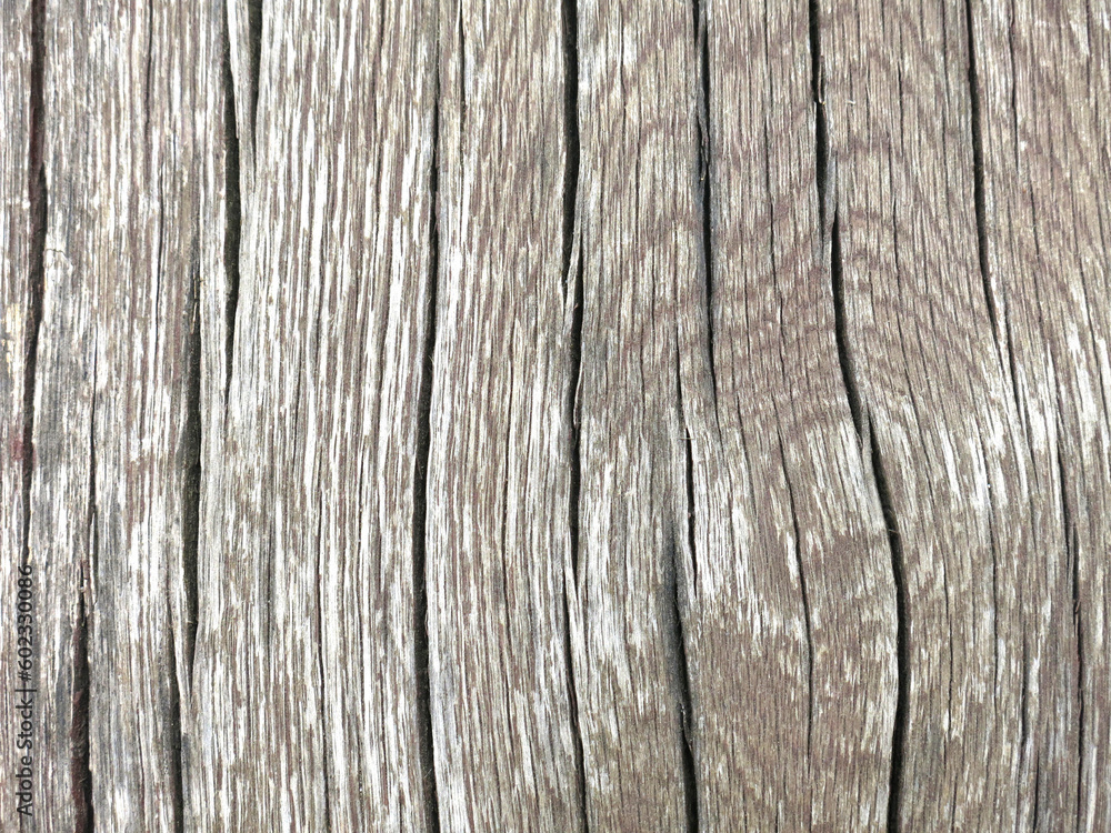 rough wood texture with cracks and fibers