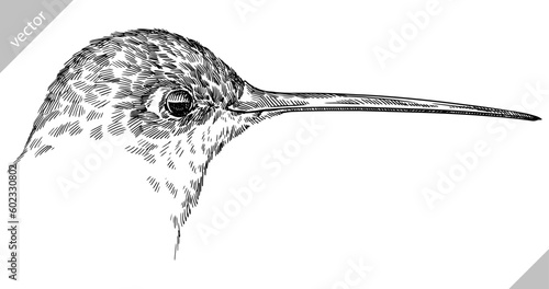 Vintage engraving isolated hummingbird set illustration ink humming sketch. Bird background colibri tropical silhouette art. Black and white hand drawn vector image