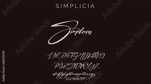 Signature script lettering font