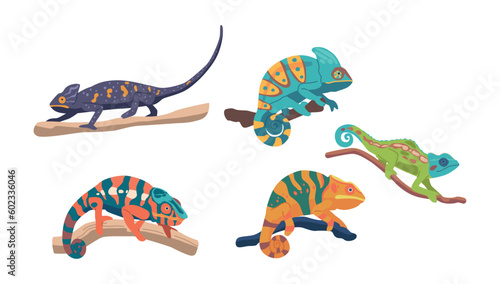 Chameleons Are Unique Reptiles Known For Their Long, Sticky Tongues, Ability To Change Color Cartoon Vector Illustration
