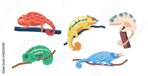 Set Colorful Chameleons On Tree Branches, With Distinctive Eyes, Long Tails, And Ability To Change Color, Unique Animals