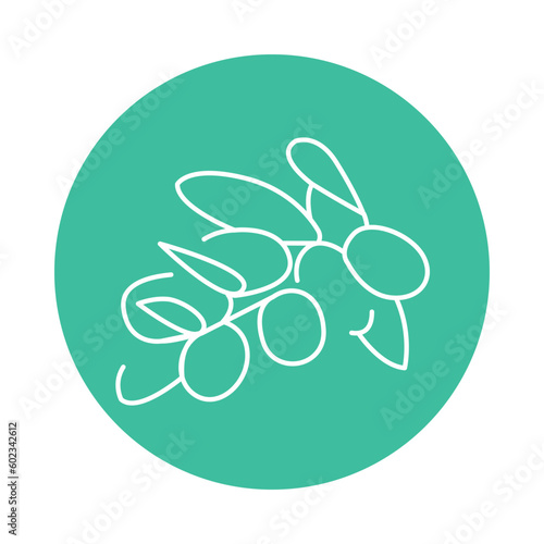 Argan plant plant color line icon. Pictogram for web page