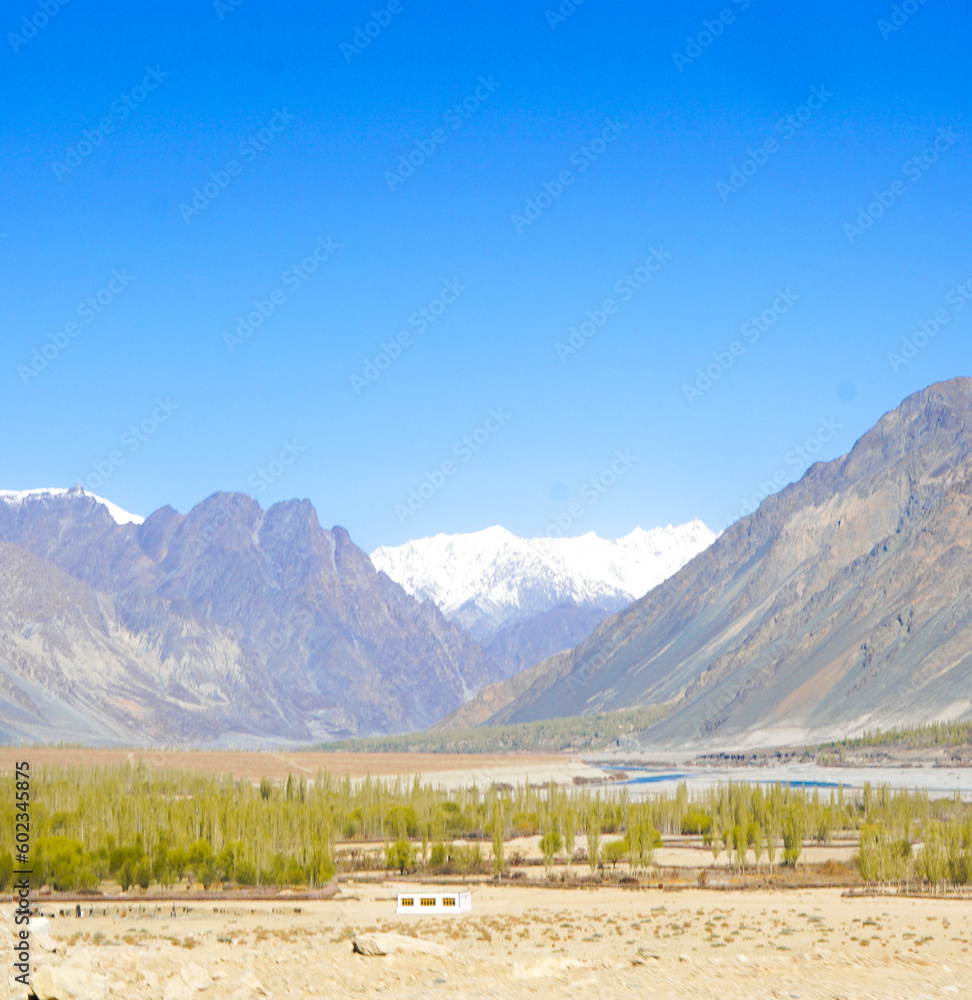 Scene in Himalaya mountain range, view from Ladakh, India