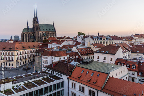 Wallpaper Mural Skyline of Brno city with the cathedral of St. Peter and Paul, Czech Republic Torontodigital.ca