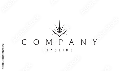 Vector logo on which an abstract image of an alchemical symbol in the form of a shining eye.