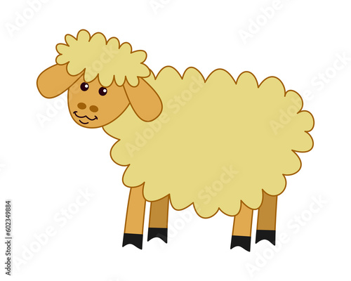 Young and beautiful sheep in profile on a transparent background