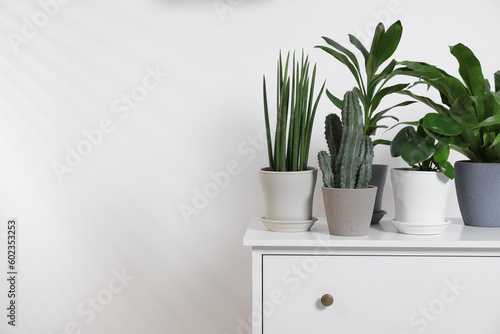 Green houseplants in pots on chest of drawers near white wall, space for text