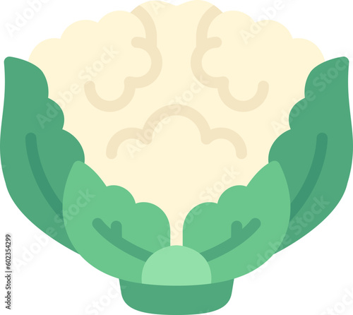 cauliflower icon