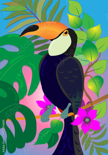 toucan on a branch