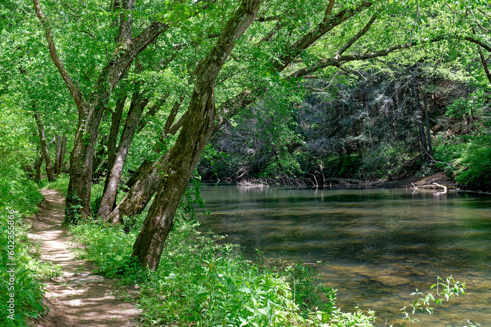 Obraz premium Trail along the river