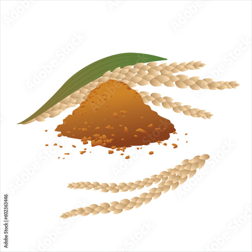 Coconut tree flowers and handful of sugar. Vector illustration