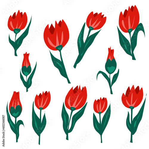 Vector set. Tulips in flat style. Hand drawn, careless drawing. Element for design
