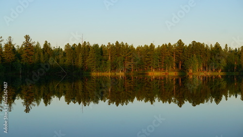 forest, trees, river, summer, landscape, beautiful, evening