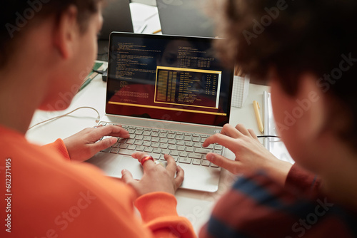 Fotografie, Obraz Back view at schoolchildren using laptop in computer programming class for kids