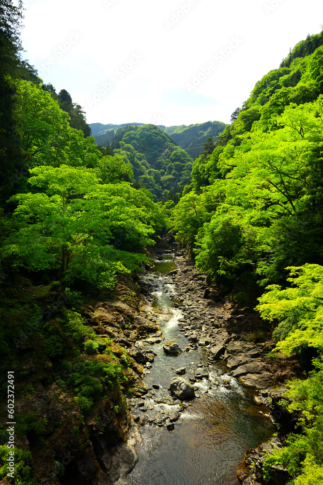 三峰登竜渓_埼玉県秩父市大滝
三峰登竜渓_埼玉県秩父市大滝