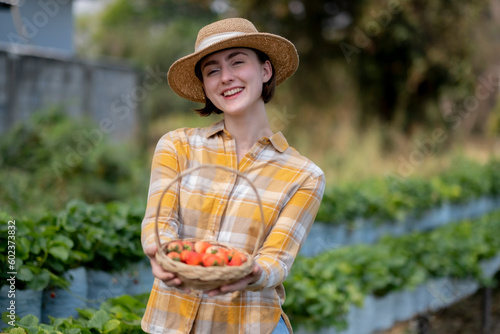 Beautiful white woman with smile showing haresting strawberry to camera lloking camera with smile of charming , farmer or traveler life style in farm. photo