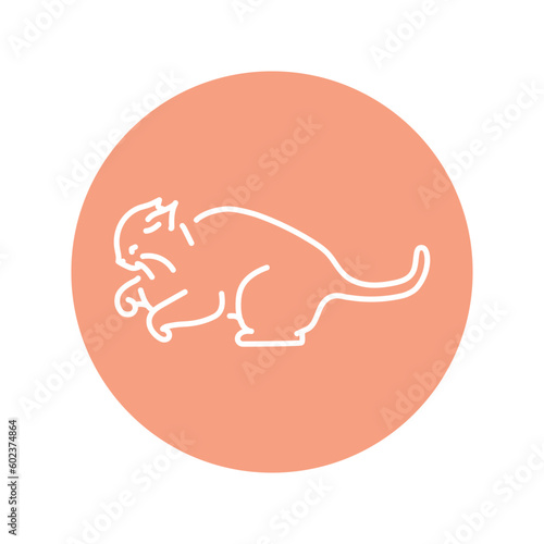 Evil cat fights color line icon. Pictogram for web page