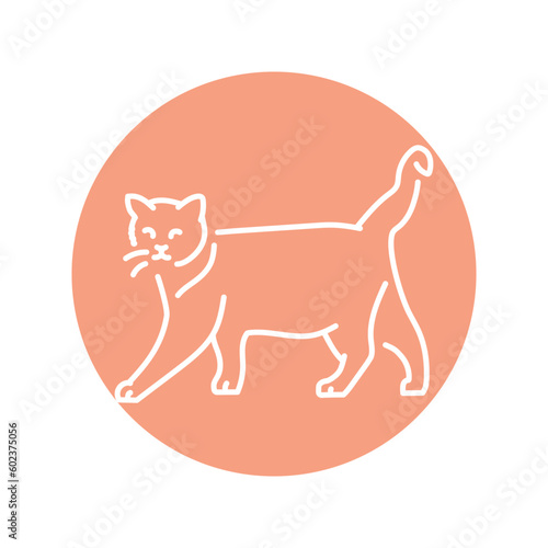 Happy cat standing color line icon. Pictogram for web page