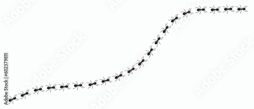 Insect Insects ant ants emmet pismire banner Vector icon icons sign signs fun funny A line of worker workers ants marching search Silhouette banner logo Random Seamless Pattern Representing Teamwork