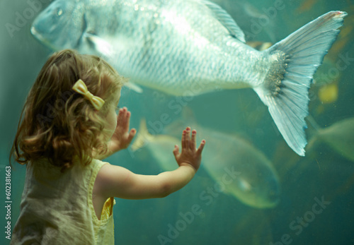 Canvas Print Girl, aquarium and kid looking at fish for learning, curiosity and knowledge, development and nature