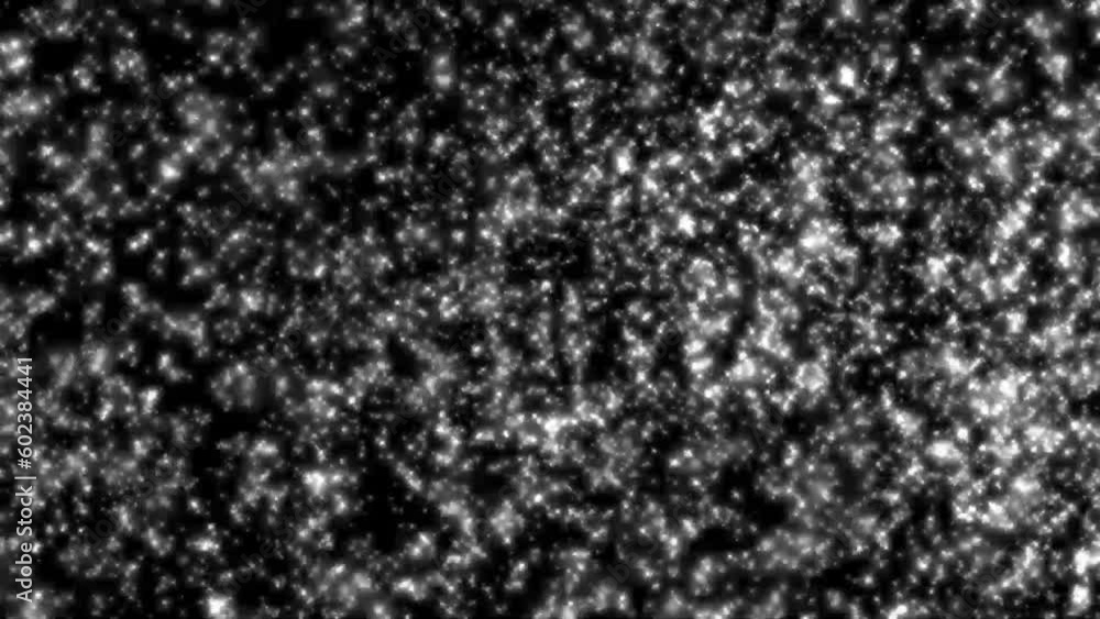 black and white background black and white background