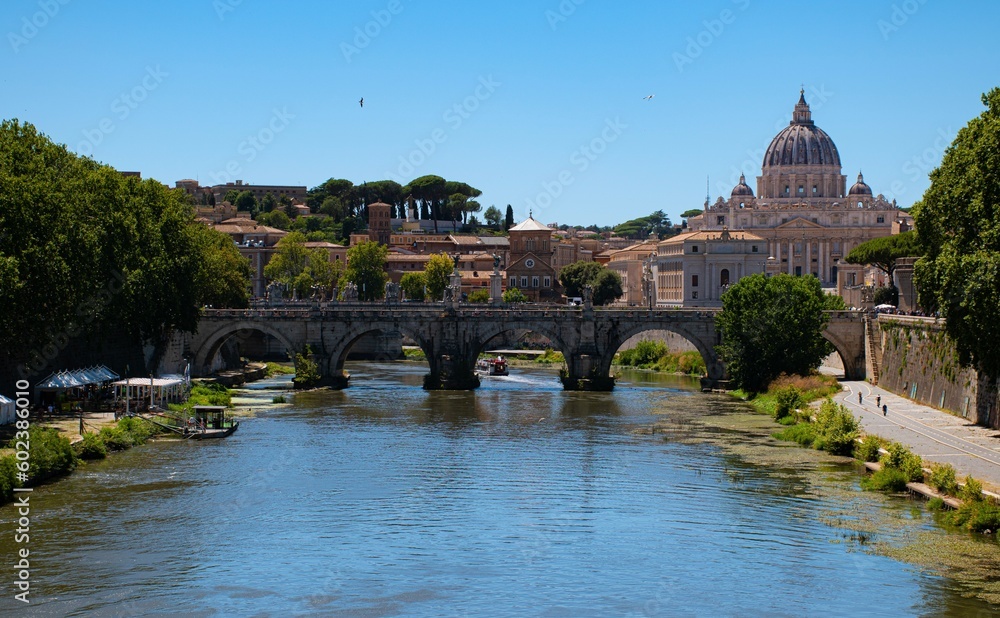 A bridge in Rome with Vatican in the background and two seagulls flying in the sky.