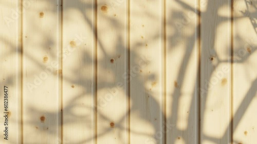 Wallpaper Mural bright wooden boards wall with the shadows of a moving tree Torontodigital.ca